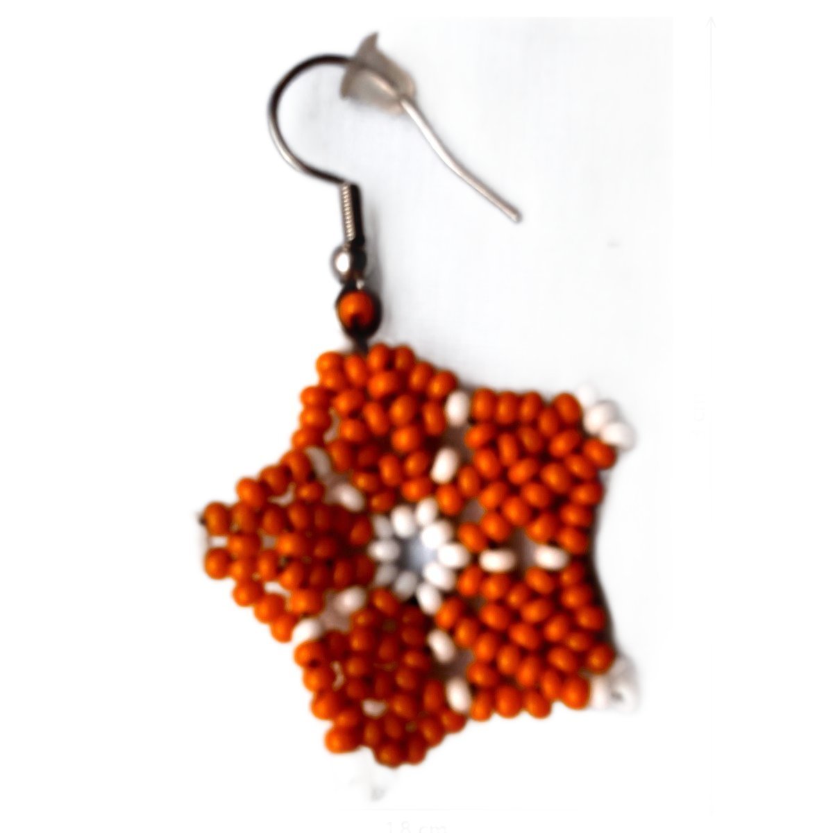 Aretes Pétalo de Monte I