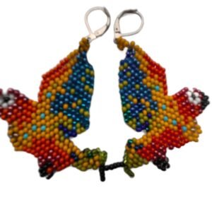 Aretes Canto de Colores